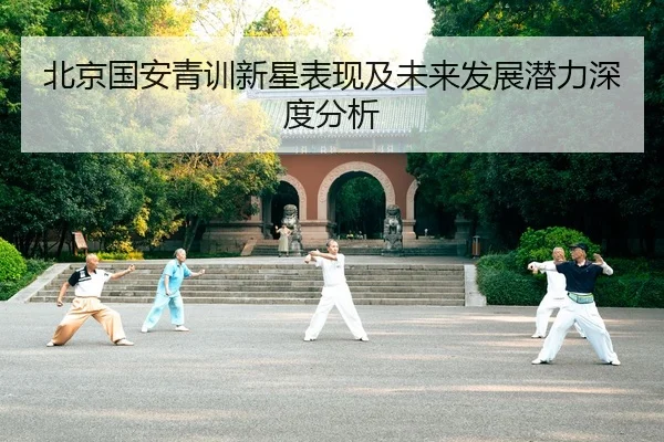 北京国安青训新星表现及未来发展潜力深度分析