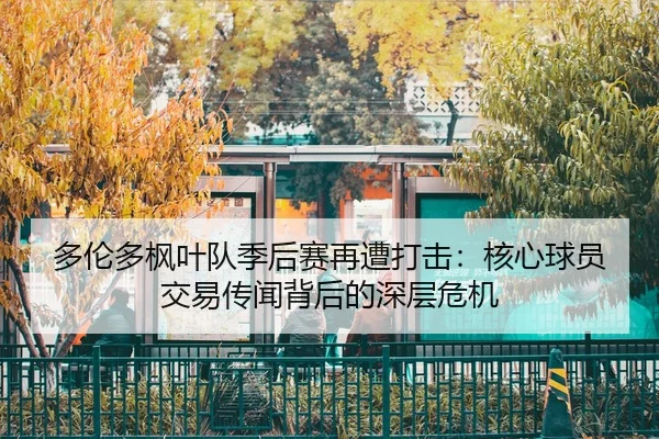 duo-lun-duo-feng-ye-dui-ji-hou-sai-zai-zao-da-ji-he-xin-qiu-yuan-jiao-yi-chuan-wen-bei-hou-de-shen-ceng-wei-ji-2-915.jpg